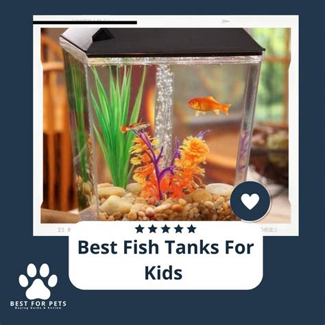 The 11 Best Fish Tanks For Kids .
